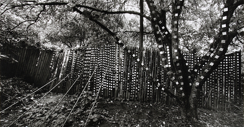 Martin Prekop work image