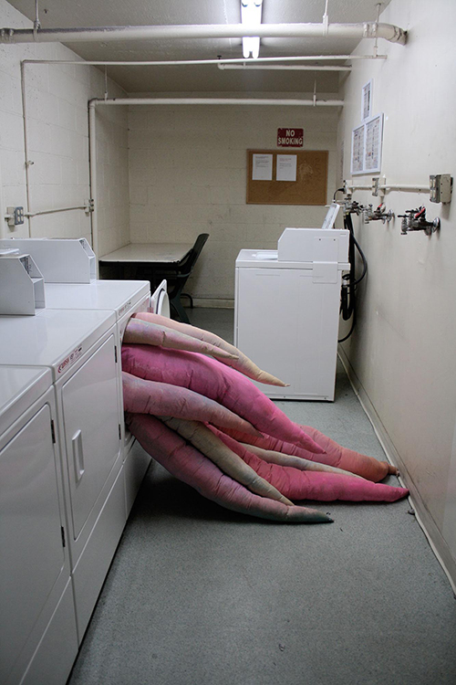 Talya Petrillo work image