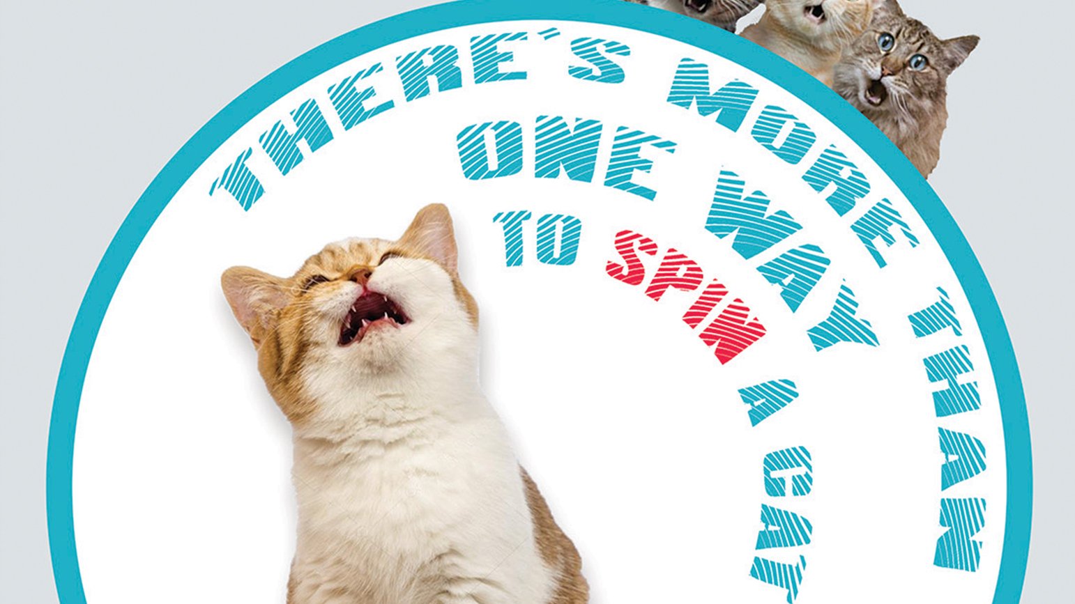 MFA Presentations - There's More Than One Way to Spin a Cat