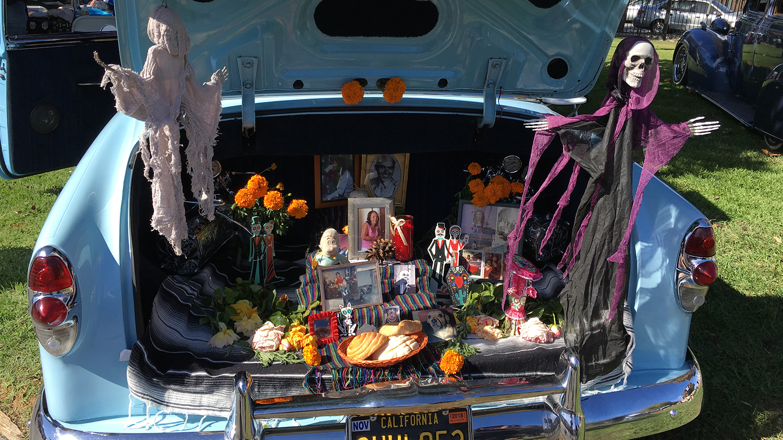 Photograph of an open truck of a car filled with photographs, flowers, two large skeletons, and other objects arranged neatly