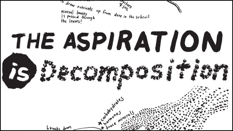 Hand drawn words in black "The Aspiration is Decomposition"
