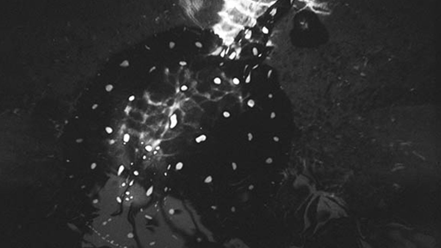 Black-and-white abstract photograph