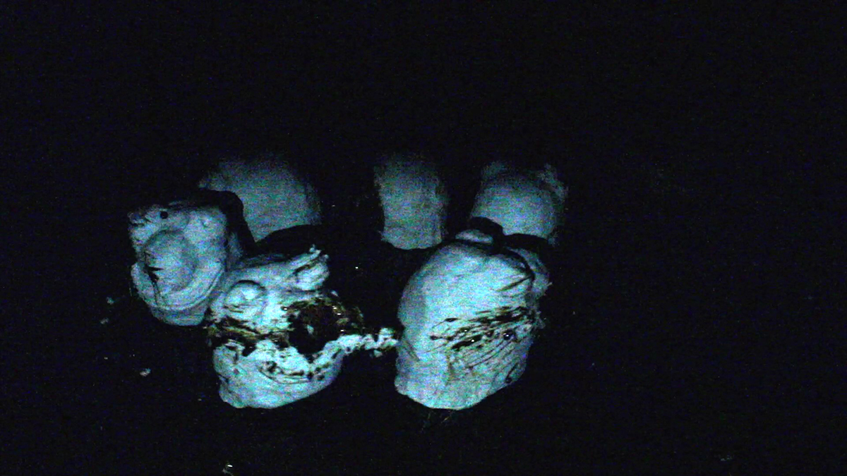 Nikolas Diamant work image