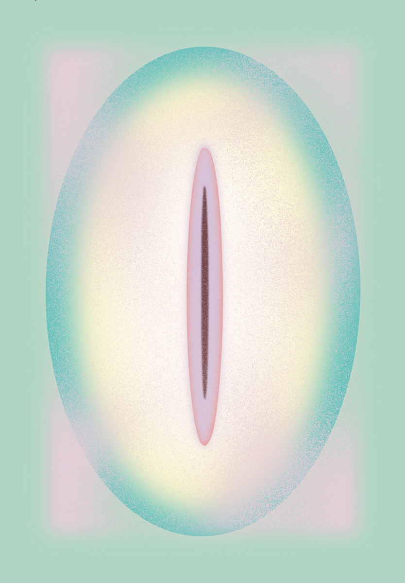 Cindy Liu work image